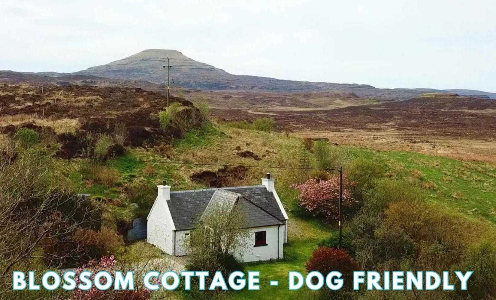 فيلا Araucaria Croft Skye دونفيجان المظهر الخارجي الصورة